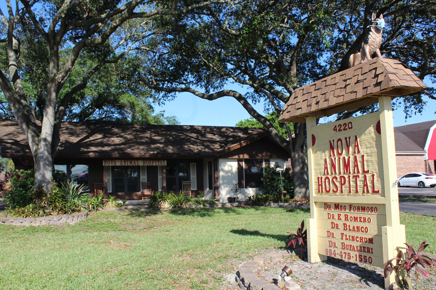 A view of Nova Animal Hospital as it stands today